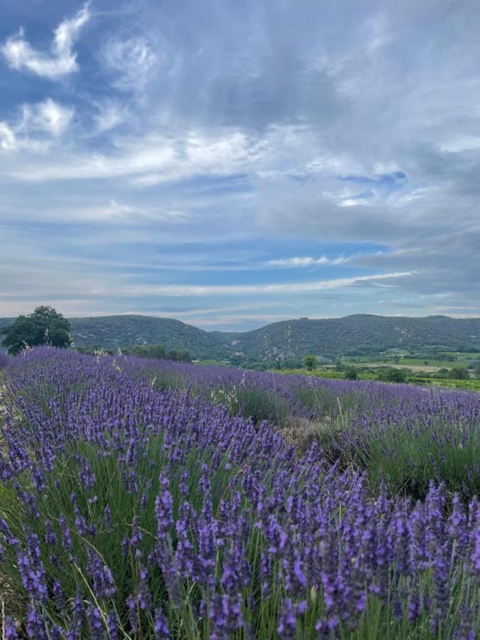 Gite Passiflore Frigoulet ภายนอก รูปภาพ